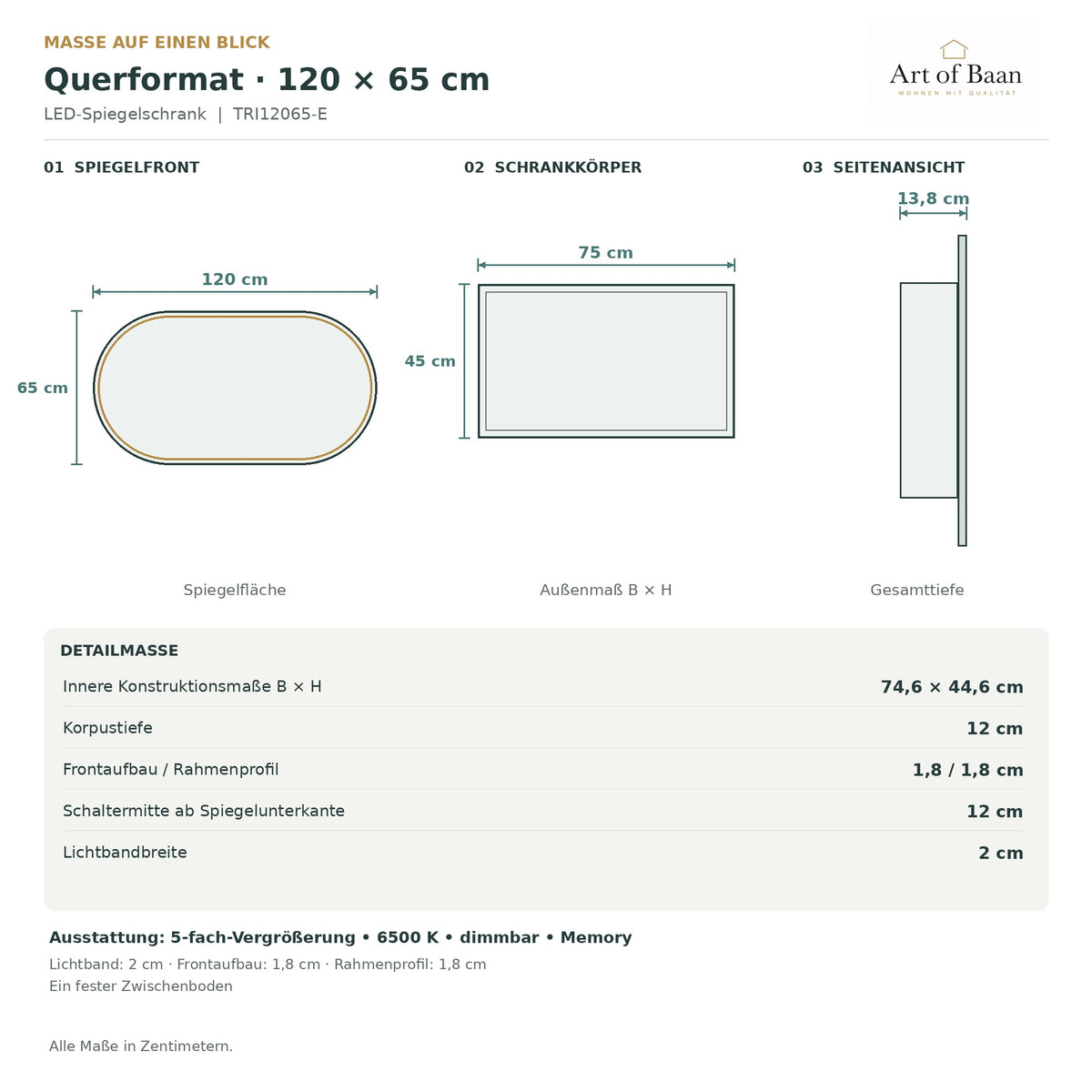 Maßgrafik der 120 × 65 cm großen Spiegelfront des LED-Spiegelschranks.

